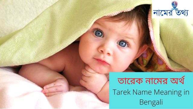 তারেক নামের অর্থ কি? Tarek Name Meaning in Bengali