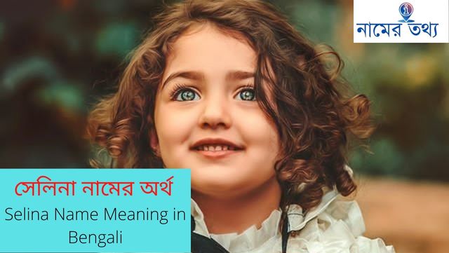 Stream Meaning In Bengali/ Stream শব্দের অর্থ বাংলা