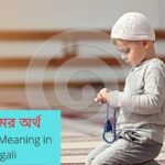রাজু নামের অর্থ কি