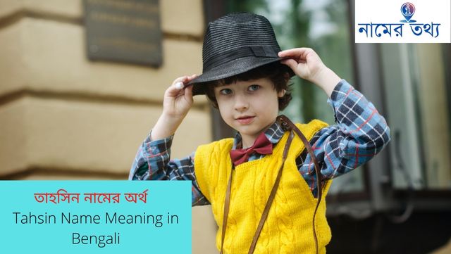 Streaming Meaning In Bengali - বাংলা অর্থ