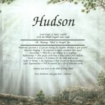 Name Meaning Hudson
