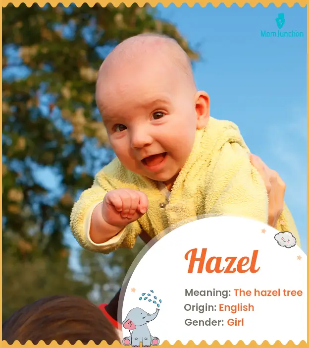 The Meaning of the Name Hazel