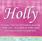 The Name Holly Meaning