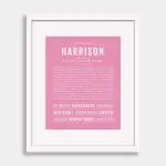 What Does the Name Harrison Mean
