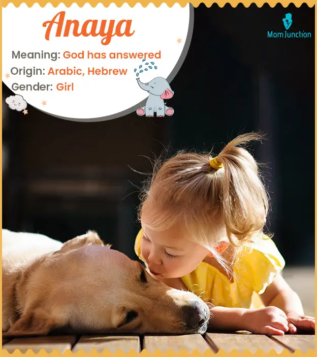 What is the Meaning of the Name Anaya