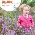 What is the Meaning of the Name Heather