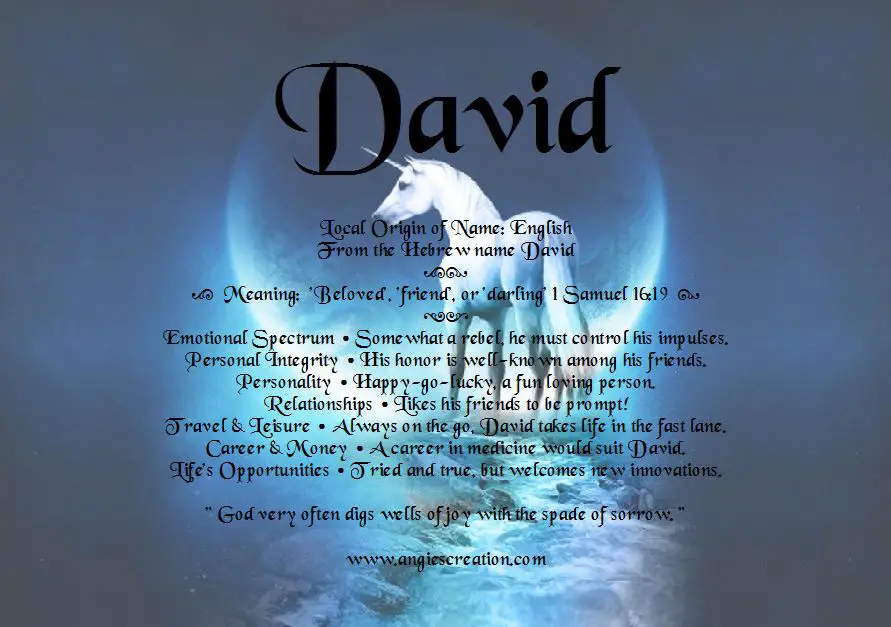 What'S the Meaning of David